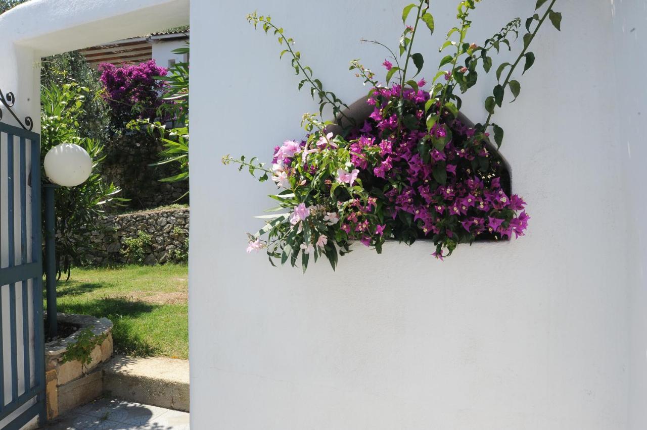 Case Vacanza Montesaraceno Mattinata Dış mekan fotoğraf